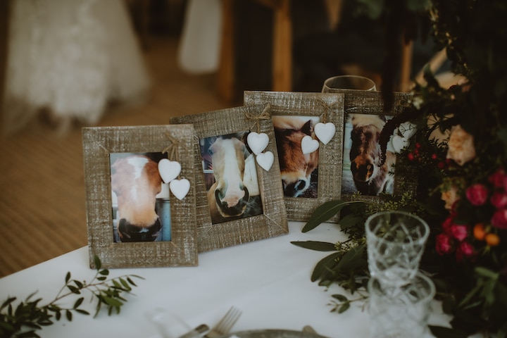 Sailcloth wedding