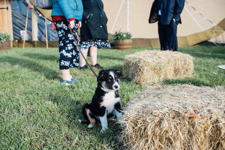 Derbyshire Farm Tipi Wedding