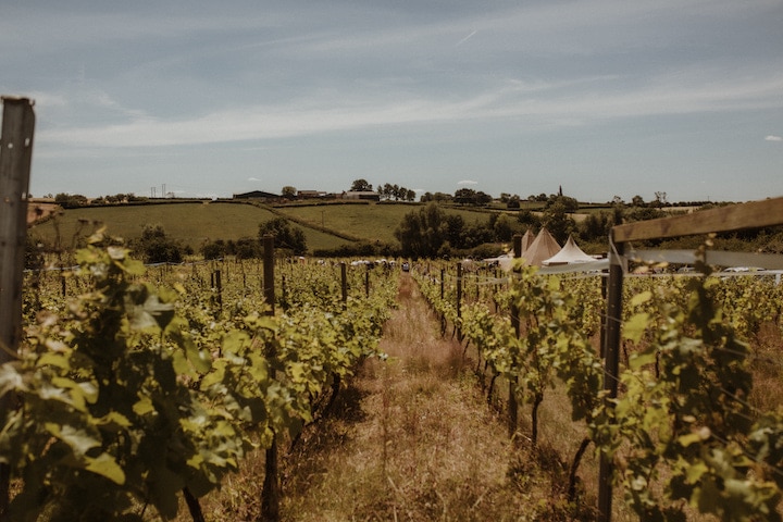 Vineyard Tipi Wedding